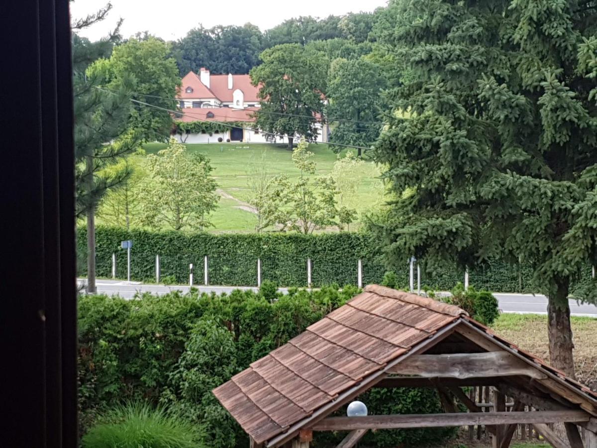 Seoski Turizam Sumak Miljana Exteriör bild